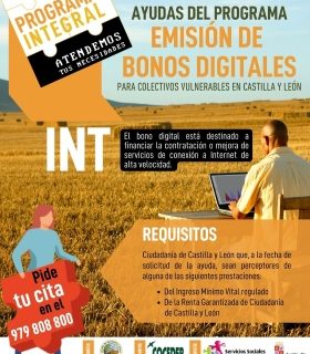 Miniatura. Ayudas del programa, emisión de bonos digitales.