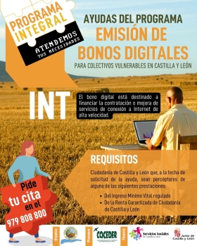 Miniatura. Ayudas del programa, emisión de bonos digitales.