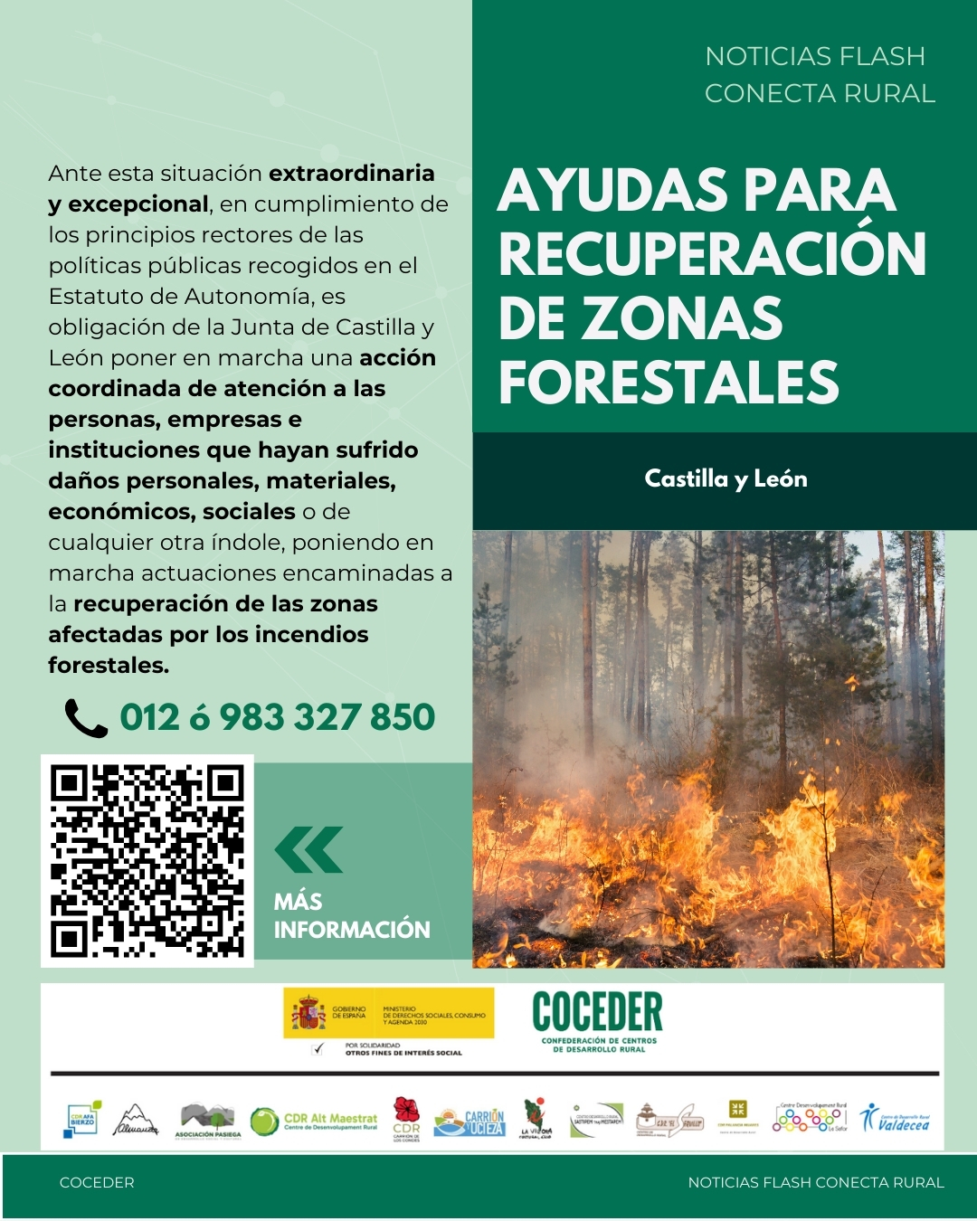 🔥 NOTICIA FLASH | Ayudas para la recuperación de zonas forestales en Castilla y León

Ante la situación extraordinaria y excepcional provocada por los incendios forestales, la Junta de Castilla y León pone en marcha una acción coordinada para atender a las personas, empresas e instituciones que hayan sufrido daños personales, materiales, económicos o sociales.

Estas ayudas buscan impulsar la recuperación de las áreas afectadas, garantizando el apoyo necesario para reconstruir el entorno y mitigar el impacto de los incendios.

📞 Más información:
➡️ 012
➡️ 983 327 850

El programa "Conecta rural, lucha contra la brecha digital en pequeños municipios" está financiado por el Ministerio de Derechos Sociales, Consumo y Agenda 2030, dentro de los programas de interés social, con cargo a la asignación tributaria del 0,7% del IRPF, coordinado por COCEDER y llevado a cabo los Centros de Desarrollo Rural asociados @afabierzo , @cdralmanzor , @cdr_asociacionpasiega , @cdraltmaestrat , @cdrcarriondeloscondes , @cdr_carrionyucieza , @culturalgrio , @sastipemthajmestapem , @cdr_elsequillo , @cdrpalanciamijares , @cdr_la_safor  y @cdrvaldecea 

@xsolidaria . @msocialgob · @coceder_rural  #XSolidaria