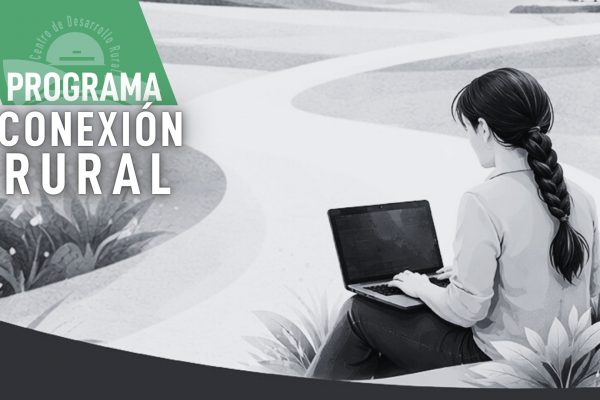 Conexión rural: lucha contra la brecha digital en pequeños municipios
