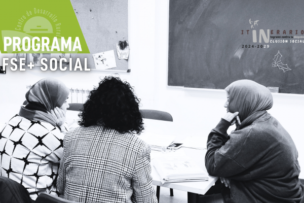 programa fse+ de inclusión social