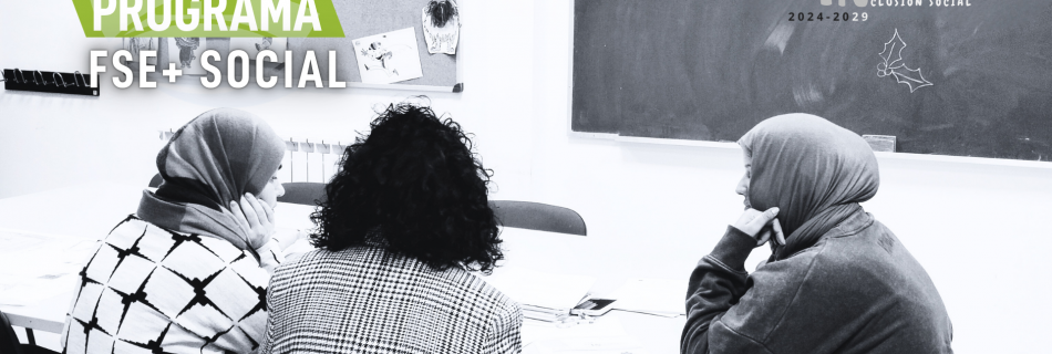 programa fse+ de inclusión social