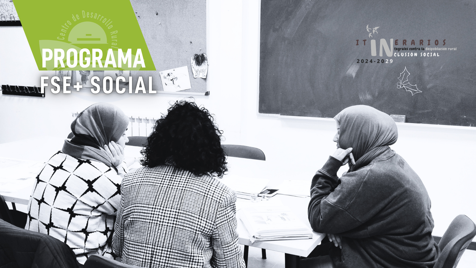 programa fse+ de inclusión social